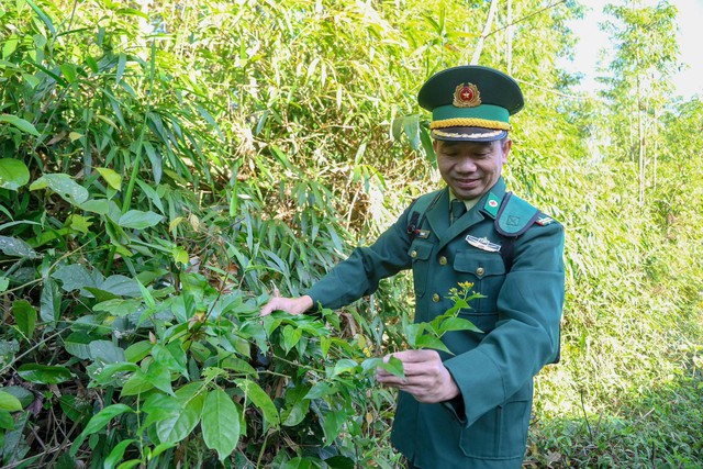 Bác sĩ mang quân hàm xanh với bài thuốc 'trị' ... độc do ăn lá ngón- Ảnh 2.