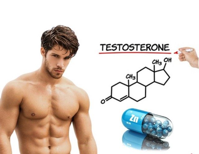 5 chất làm tăng nồng độ testosterone - Ảnh 2.