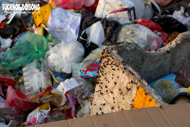 Hàng nghìn tấn rác thải tự phát 'bủa vây' người dân tại Hà Nội- Ảnh 5.