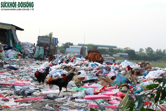 Hàng nghìn tấn rác thải tự phát 'bủa vây' người dân tại Hà Nội- Ảnh 4.