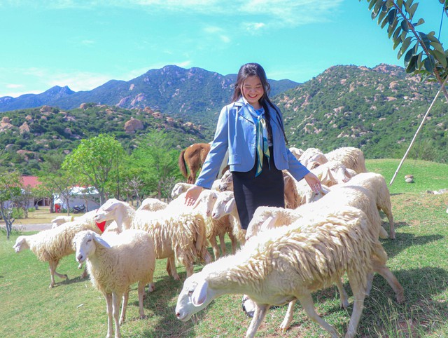 Độc đáo: Cừu diễu hành chào đón năm mới- Ảnh 1.