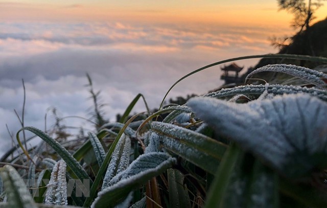 Sương muối phủ trắng đỉnh Fansifan sáng nay- Ảnh 2.