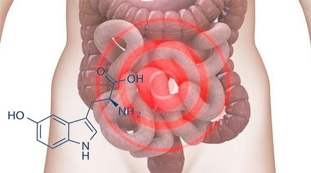 Hoạt chất 5-HTP - giải pháp cho bệnh đại tràng co thắt- Ảnh 1.