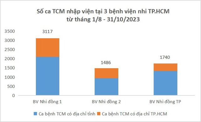 65% ca tay chân miệng nhập viện tại TPHCM có địa chỉ ở các tỉnh lân cận- Ảnh 2.