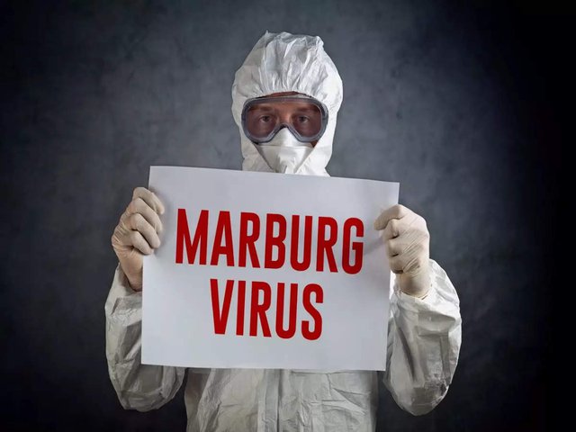 Lịch sử bùng phát bệnh gây xuất huyết nghiêm trọng do virus Marburg (MVD) - Ảnh 4.