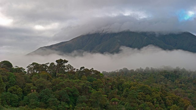 Giải cứu con tin ở Papua New Guinea - Ảnh 2.