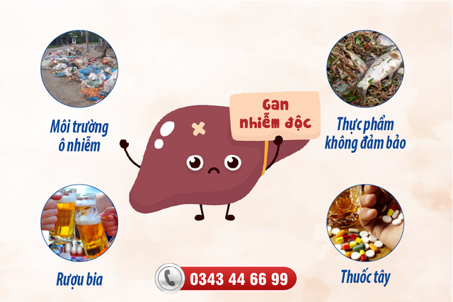 Cách giải độc gan an toàn, hiệu quả - Ảnh 1.