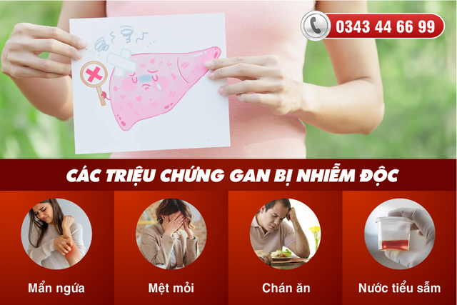 Cách giải độc gan an toàn, hiệu quả - Ảnh 2.