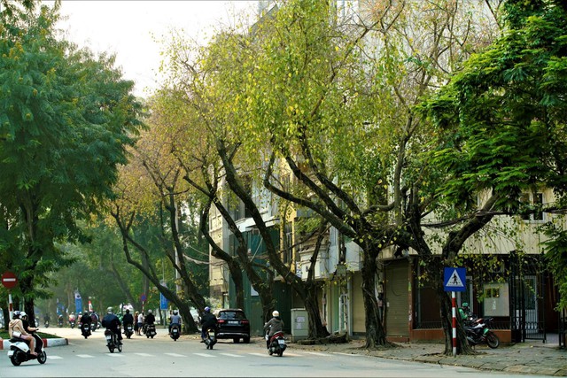 Những địa điểm check-in đẹp nhất Hà Nội mùa cây thay lá, mùa hoa khoe sắc thắm - Ảnh 1.