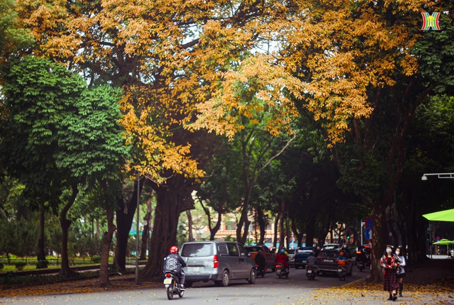 Những địa điểm check-in đẹp nhất Hà Nội mùa cây thay lá, mùa hoa khoe sắc thắm - Ảnh 3.