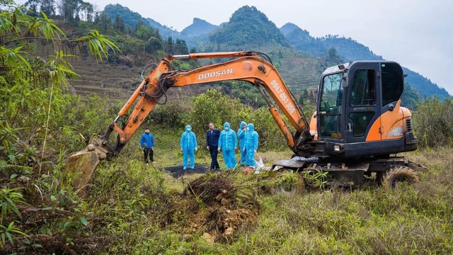 Mạnh tay xử lý chó thả rông sau vụ nam sinh bị 2 chó dữ tấn công - Ảnh 2.