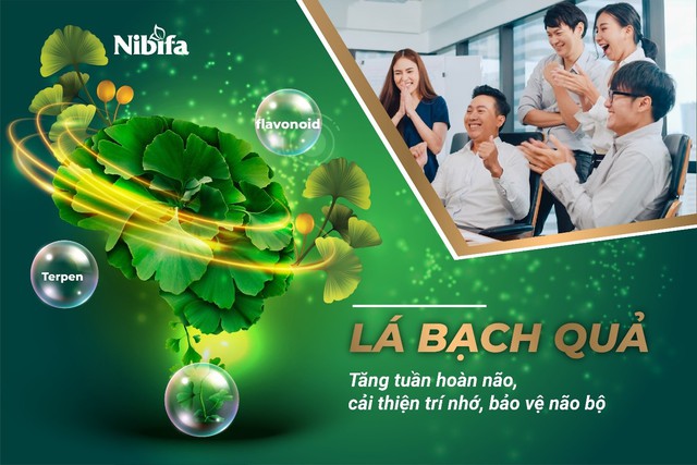 Bạch quả - dược liệu quý hỗ trợ cải thiện tuần hoàn máu não - Ảnh 1.