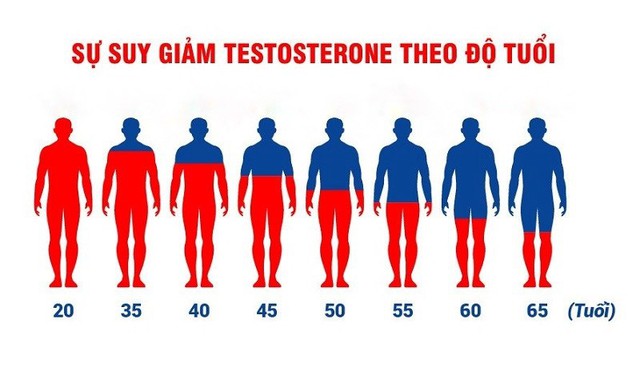 4 cách hỗ trợ cải thiện sức khỏe, sinh lý nam tuổi trung niên - Ảnh 1.