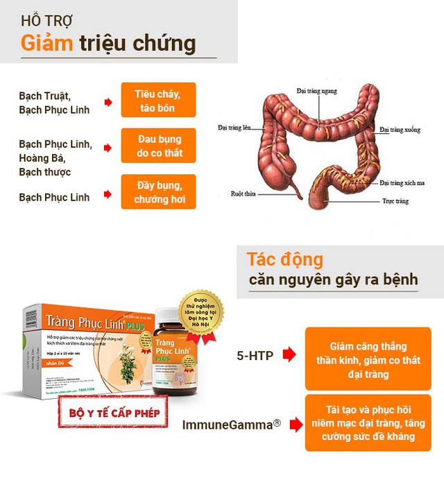 Sản phẩm hỗ trợ cho người bị đại tràng lâu năm - Ảnh 2.