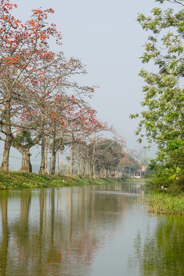 Video: Chiêm ngưỡng con đường hoa gạo đẹp nhất Hà Nội những ngày bung nở như tranh - Ảnh 3.
