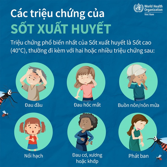 [Infographic] - Triệu chứng của bệnh sốt xuất huyết - Ảnh 1.