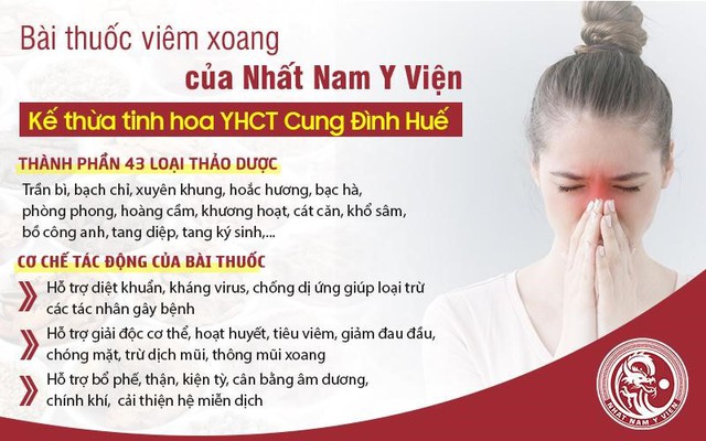 3 bài thuốc đông y hỗ trợ điều trị viêm xoang, giảm triệu chứng - Ảnh 3.