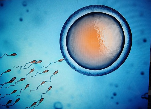 Những điều thú vị về sự khác biệt giữa tinh trùng và tinh dịch - Ảnh 4.