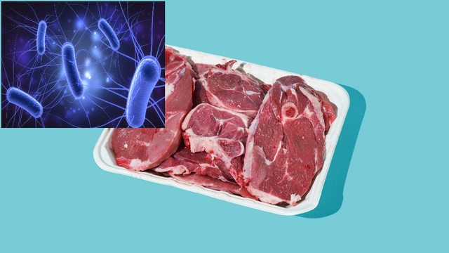 Nhiễm trùng đường tiết niệu liên quan đến vi khuẩn trong thịt? - Ảnh 2.