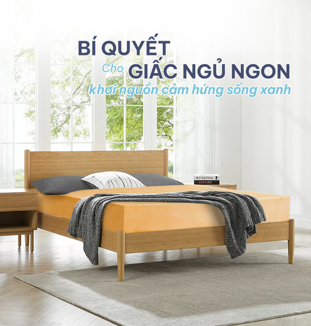 Nệm cao su thiên nhiên - Bí quyết cho giấc ngủ ngon, khơi nguồn cảm hứng sống xanh - Ảnh 1.