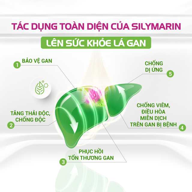 Sáng chế kỹ thuật tạo ra Silymarin tan trong nước, tăng công dụng hỗ trợ thải độc gan - Ảnh 2.