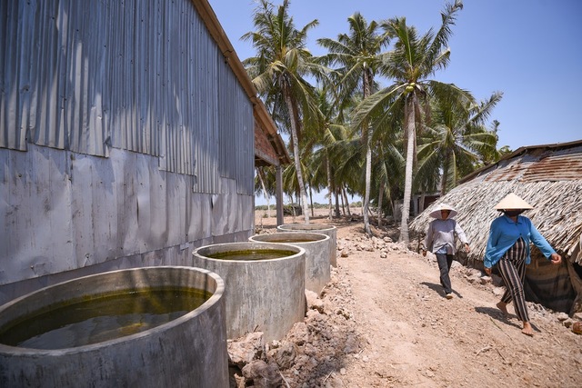 Cấp bách chuẩn bị các phương án ứng phó với hạn mặn vùng ĐB sông Cửu Long - Ảnh 1.