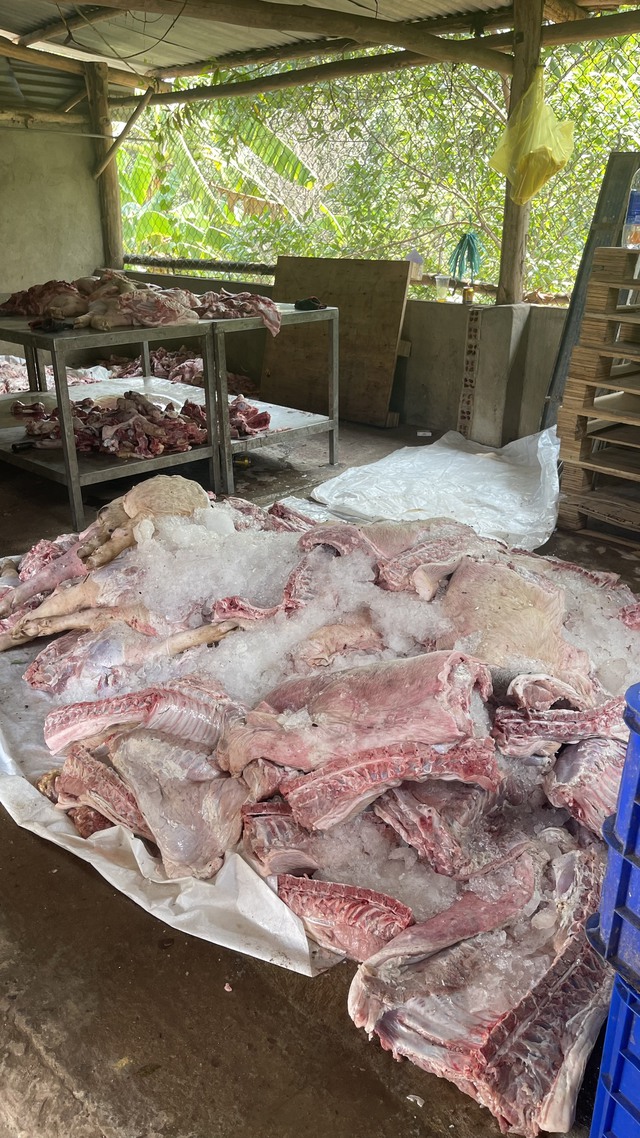 Phát hiện điểm thu mua trữ hơn 1,7 tấn thịt lợn bốc mùi hôi thối - Ảnh 3.
