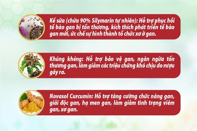 Hỗ trợ giải độc, tăng cường chức năng gan nhờ dược liệu và tinh chất thiên nhiên - Ảnh 2.