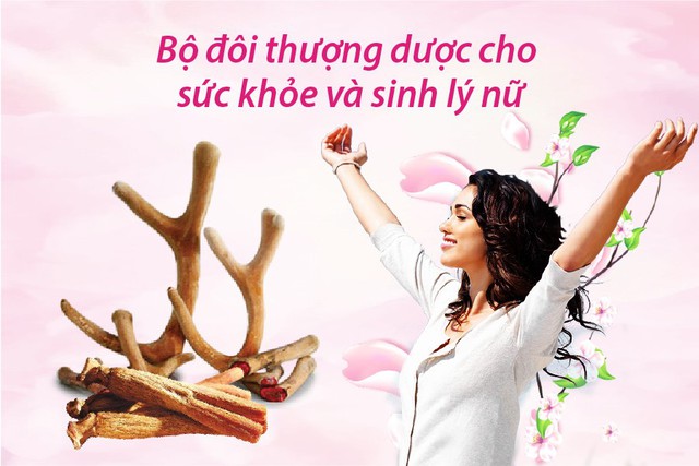 Hồng sâm, Lộc nhung - Bộ đôi thượng dược cho sức khỏe và sinh lý nữ - Ảnh 1.