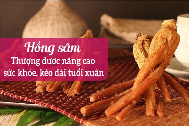 Hồng sâm, Lộc nhung - Bộ đôi thượng dược cho sức khỏe và sinh lý nữ - Ảnh 2.