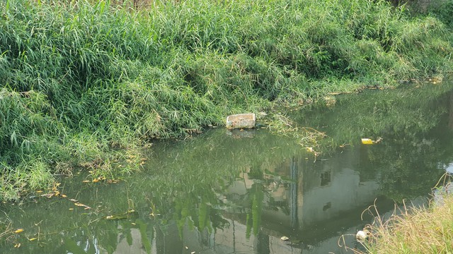 Khu vực kênh chảy giữa thôn Đông Thành và Xuân Hồi ô nhiễm nghiêm trọng.