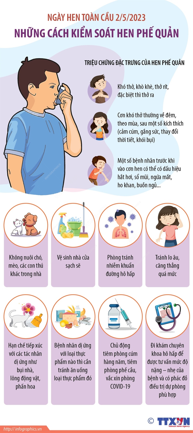 Ngày Hen toàn cầu 2/5/2023: Những cách kiểm soát hen phế quản - Ảnh 1.