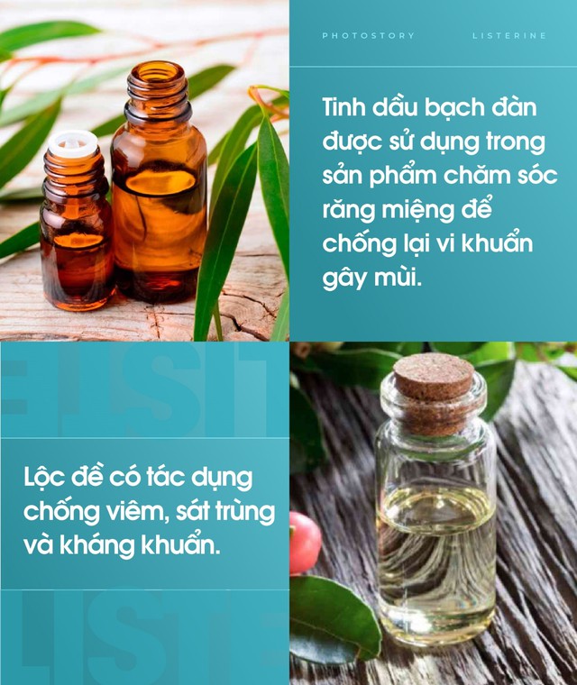 Miễn dịch hiệu quả, giữ cơ thể khỏe mạnh nhờ khoang miệng sạch - Ảnh 2.