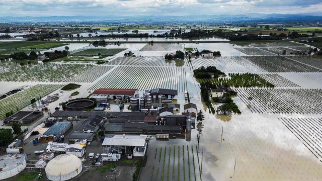 Lũ lụt kỷ lục ở Italy, nhiều trang trại chìm trong 'biển' nước - Ảnh 2.