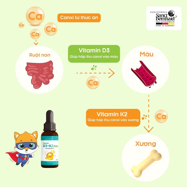 Bí quyết bổ sung vitamin D3 giúp tăng cường hấp thu canxi của các mẹ bỉm sữa hiện nay - Ảnh 2.