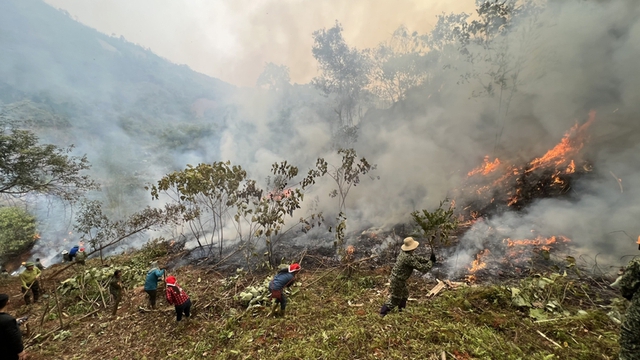 Nhiều tỉnh Tây Bắc cảnh báo nguy cơ cháy rừng cấp độ nguy hiểm - Ảnh 1.