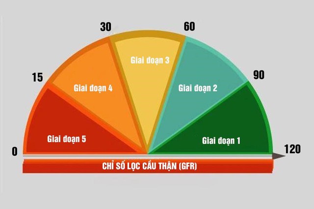 Bật mí giải pháp hỗ trợ khi bị suy thận độ 1 - Ảnh 2.