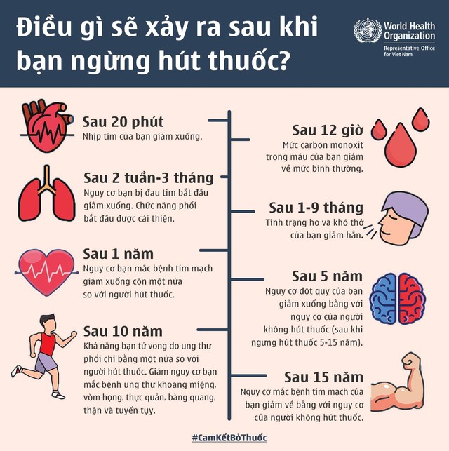 Nhiều người ung thư phổi, đột quỵ não do tác hại của thuốc lá - Ảnh 4.