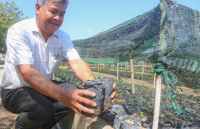 Lên núi đá trồng thứ cây “khắc tinh” với khô hạn - Ảnh 1.