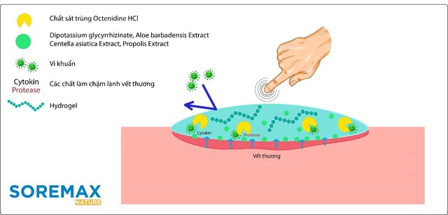 Kem bôi da thế hệ mới cho cả nhà - Ảnh 3.