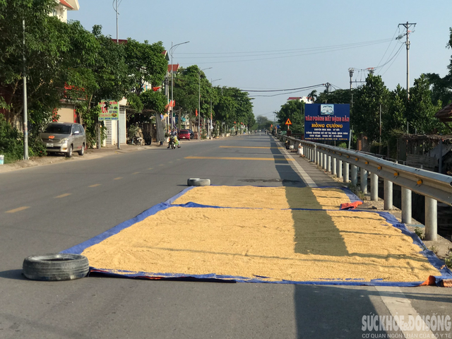 Người dân &quot;tùy tiện&quot; phơi thóc lúa trên đường, tiềm ẩn nhiều nguy hiểm - Ảnh 9.