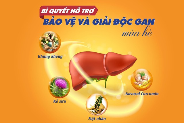 Bí quyết hỗ trợ bảo vệ và giải độc gan mùa hè - Ảnh 1.