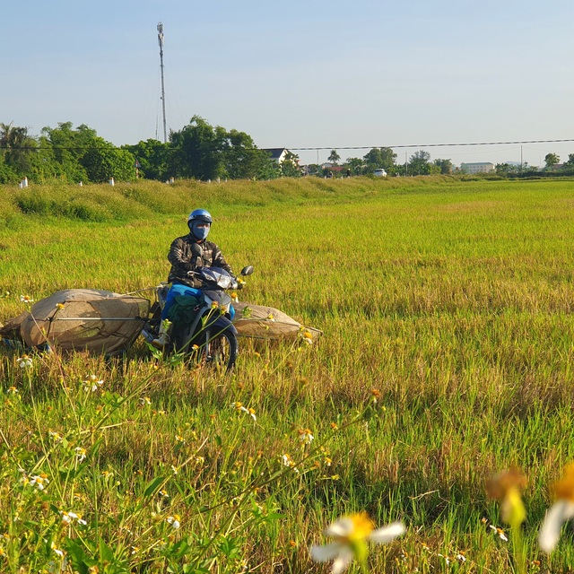 Vượt gần 100km săn 'tôm bay' giữa nắng nóng - Ảnh 1.