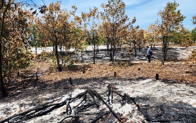 Hiện trường vụ việc sau đợt diễn tập về Phòng cháy chữa cháy rừng 2023.