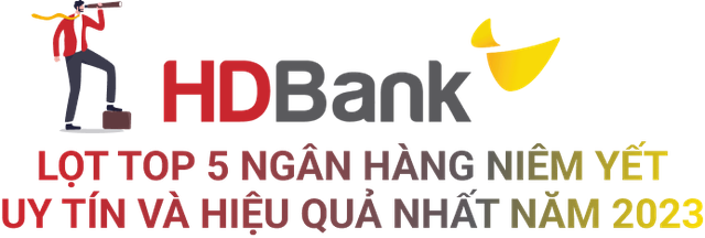 TOP 10 công ty đại chúng hiệu quả nhất năm 2023: Ấn tượng HDBank, Đạm Phú Mỹ và Hóa dầu Đức Giang - Ảnh 4.