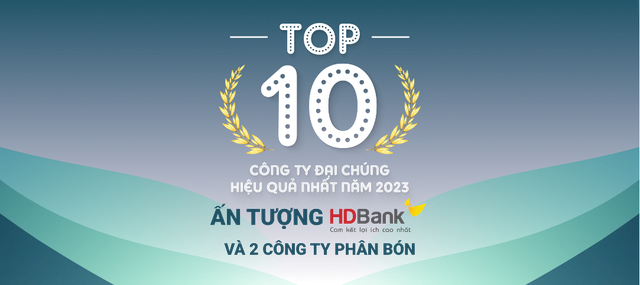 TOP 10 công ty đại chúng hiệu quả nhất năm 2023: Ấn tượng HDBank, Đạm Phú Mỹ và Hóa dầu Đức Giang - Ảnh 1.