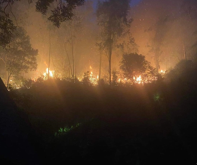 Nghệ An: Hơn 500 chiến sĩ cùng người dân đang nổ lực dập lửa tại núi Bàu
 - Ảnh 3.