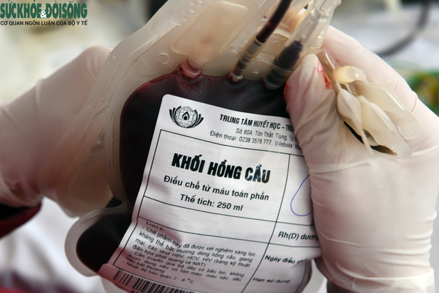 Hàng trăm đoàn viên ngành y tế Nghệ An hiến máu cứu người bệnh  - Ảnh 2.
