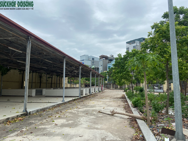 Cận cảnh chợ dân sinh Phú Đô 18 tỷ đồng bỏ hoang sau 6 năm xây dựng - Ảnh 7.