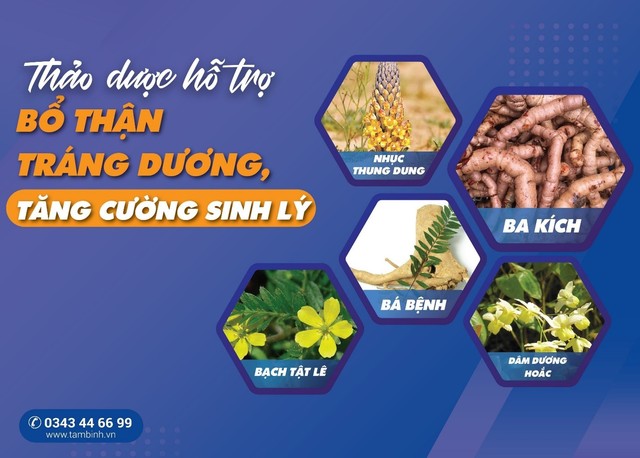 5 thảo dược hỗ trợ bổ thận tráng dương, tăng cường sinh lý - Ảnh 1.